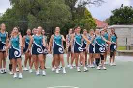 Image result for Blue Jays Netball Club
