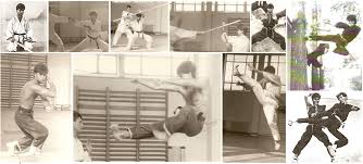 Image result for Kenpo Karate Club