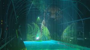 Image result for Calshot Sub-Aqua Club