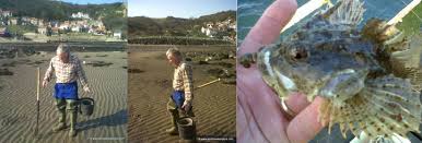 Image result for Bexleyheath and District Sea Angling Society