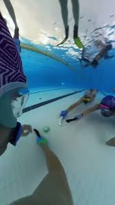 Image result for Nautilus Underwater Hockey Club