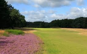 Image result for Notts Golf Club Ltd