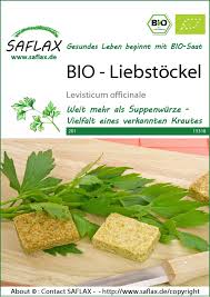Image result for Liebstöckel