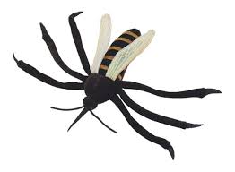 Attēlu rezultāti vaicājumam “Culex pipiens”