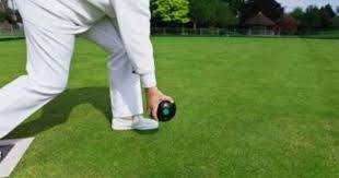 Image result for Crewkerne Bowls Club