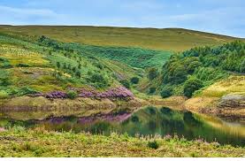 Image result for Peak Park Leisure Walks