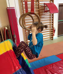 Image result for Gym Tots Gym Club