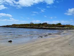 Image result for Carrick Angling Club