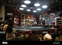 Image result for Chinese Kick Boxing Club