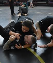 Image result for White Tiger Martial Arts