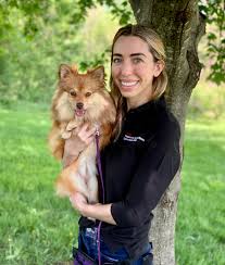 Image result for cestoda excrement dog