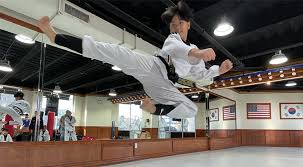 Image result for United Dojos Kickboxing