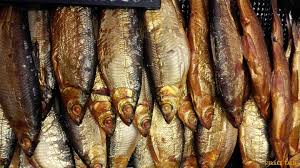 Image result for Coregonus albula