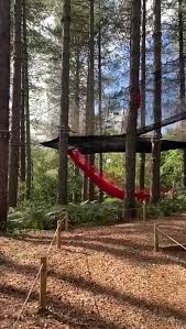 Image result for Go Ape! Moors Valley