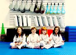 Image result for Quest Taekwondo