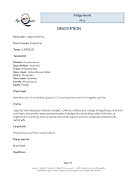 Attēlu rezultāti vaicājumam “Fuligo laevis”