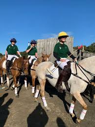 Image result for Cambridge and Newmarket Polo Club