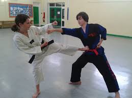 Image result for Haslemere Karate Club