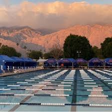 Image result for Cults Otters Amateur Swimming Club