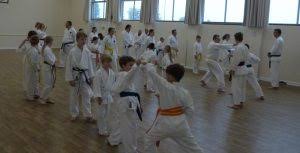 Image result for Newport Kyokushin Karate Club