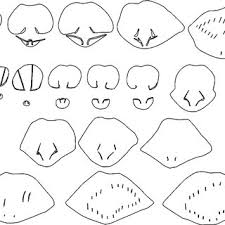 Attēlu rezultāti vaicājumam “Reticularia sp.”