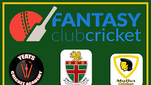 Image result for Harlow Cricket Club