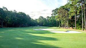 Image result for Dolphina Gc