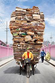 Image result for Alain Delorme