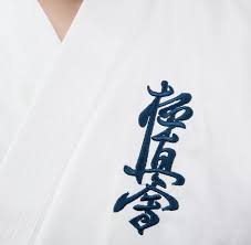 Image result for Kyoku Kenjutsu Kai