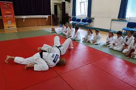 Image result for Tora-Kai Judo