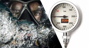 Image result for Islington Divers 333