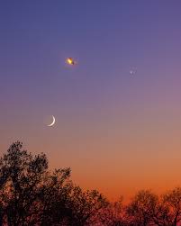 Image result for moon venus