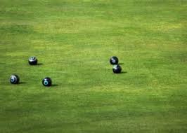 Image result for Maiden Erlegh Bowling Club