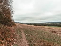 Image result for Oxted Runners