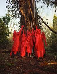 Image result for Reddish Rebels