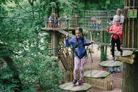 Image result for Go Ape! Moors Valley