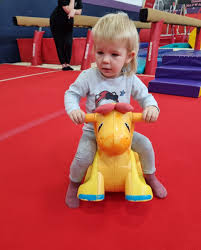 Image result for Arabian School Of Gymnastics, Milton Keynes