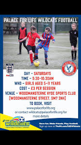 Image result for Woodmansterne Sports Fc