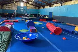 Image result for Harlequin Gymnastics Club