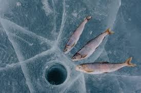 Image result for рыбалка