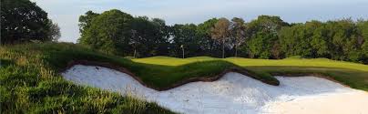 Image result for Brokenhurst Manor Golf Club