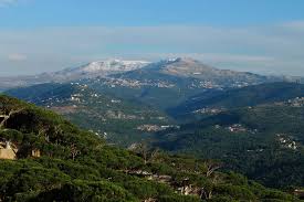 Attēlu rezultāti vaicājumam “Libanotis montana”