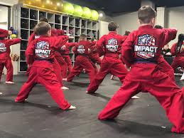 Image result for Impact Martial Arts