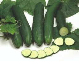 Image result for Gurke