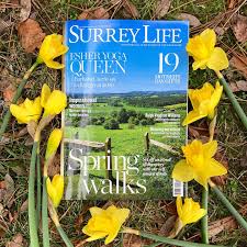 Image result for Barbara Currie School Of Yoga