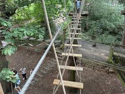 Image result for Go Ape! Leeds Castle