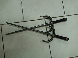 Image result for Sai Martial Arts