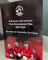 Image result for St Bronagh`s Gaa