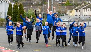 Image result for Patrick Sarsfield Gaelic Athletic Club