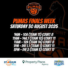 Image result for Pumas Netball Club